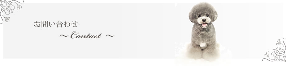 ₢`Contact`