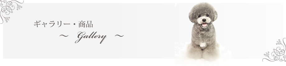 M[Ei`gallery`