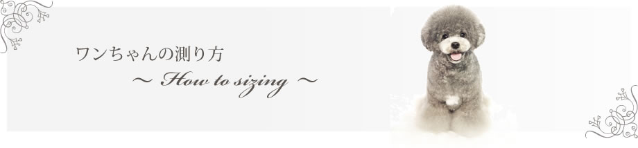 ̑-How to sizing-